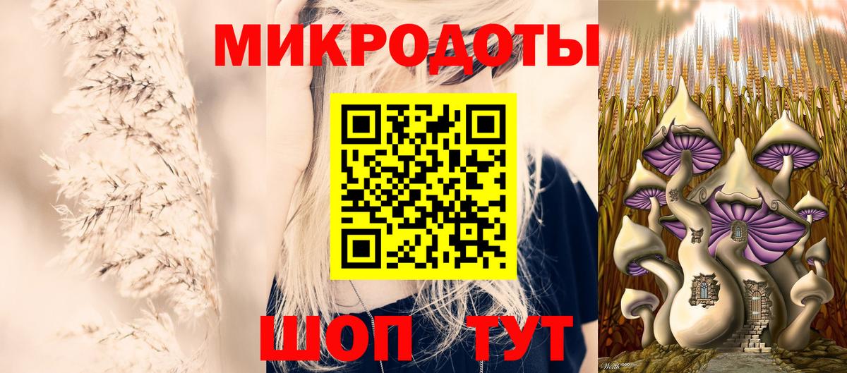 Хасавюрт  Псилоцибиновые грибы мицелий  Вход с VPN  Псилоцибиновые грибы Magic Shrooms 