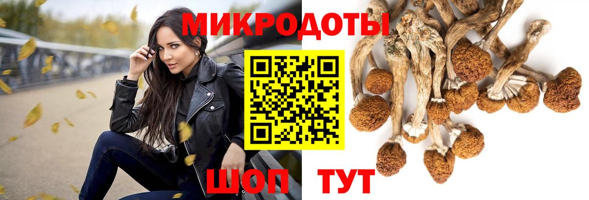 Псилоцибиновые грибы MAGIC MUSHROOMS Хасавюрт
